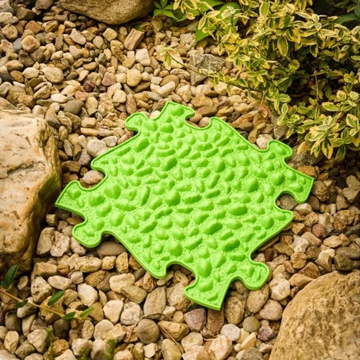 משטחי פאזל תחושתיים – ג'ונגל