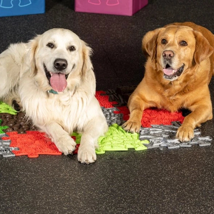 משטחי פאזל תחושתיים – חברים על ארבע