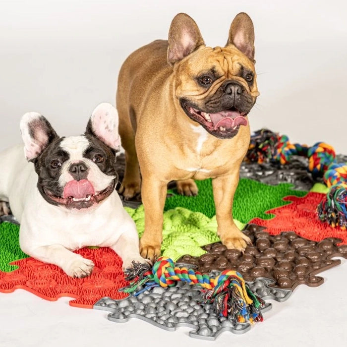 משטחי פאזל תחושתיים – חברים על ארבע