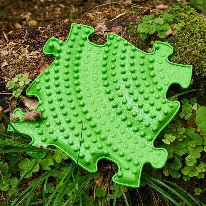 משטחי פאזל תחושתיים – ג'ונגל