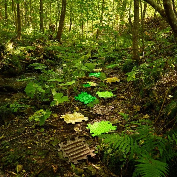 משטחי פאזל תחושתיים – ג'ונגל