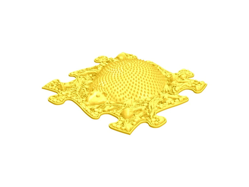 משטחי פאזל תחושתיים - קשת בענן